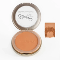OIL CONTROL PRESSED POWDER